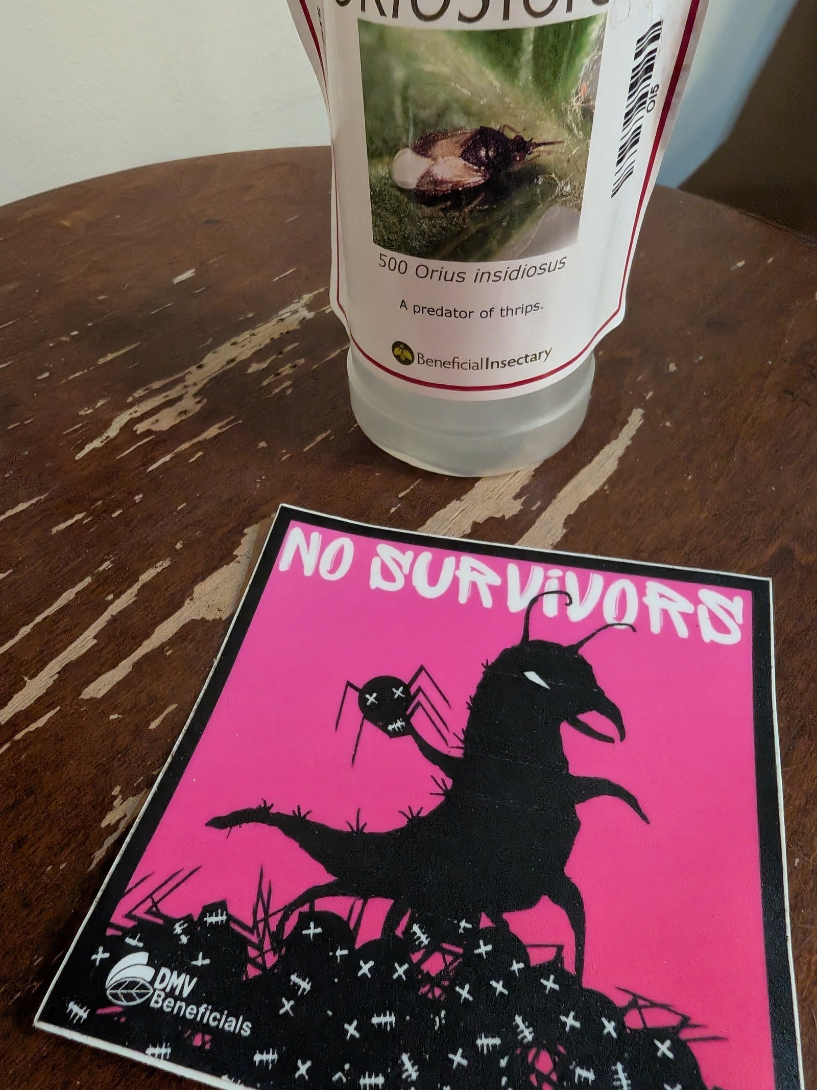 A &lsquo;No Survivors&rsquo; beneficial-insect product sourced through a local bug group