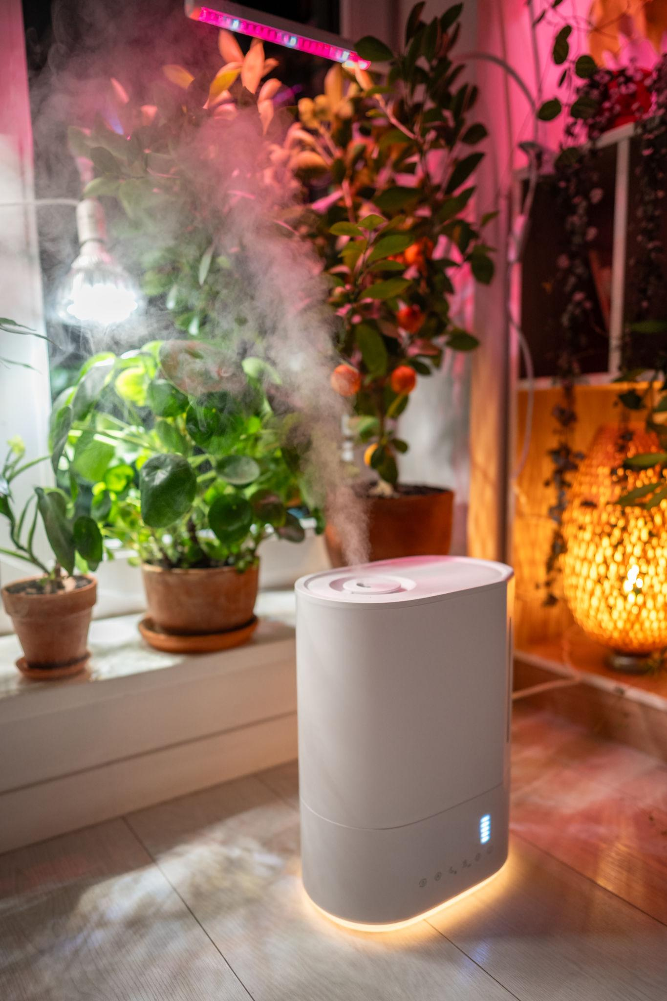 A humidifier running near houseplants — increased humidity helps deter spider mites
